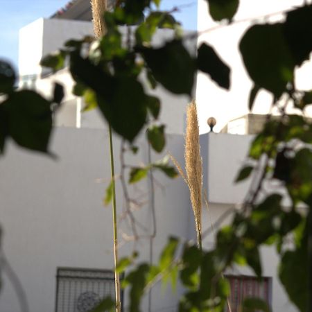 Residence Sterne Hammam al Ghazzaz Экстерьер фото